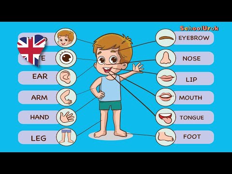 Видео: Частини тіла  англійською мовою для дітей  | Вікторина