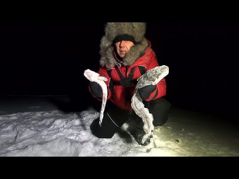 Видео: Ловля налима на стук и жерлицы! Зимняя рыбалка в Карелии на Онего.