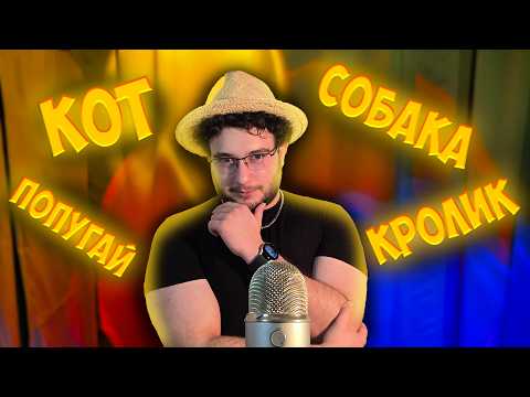 Видео: АСМР но если вы забыли слово, вы проиграли - животные