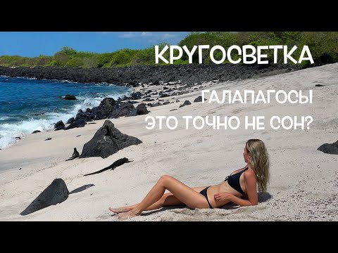 Видео: КРУГОСВЕТКА // ДЕНЬ 116 / РАЙ! ГАЛАПАГОССКИЕ ОСТРОВА, ЭКВАДОР: СНОВА МОРСКИЕ КОТИКИ, СКАТЫ И ЯЩЕРИЦЫ