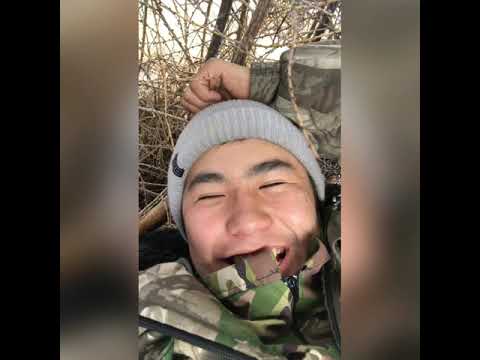 Видео: Сааскы кустан сагалаан сайыным хайдах ааспытын туьунан🙌🏻