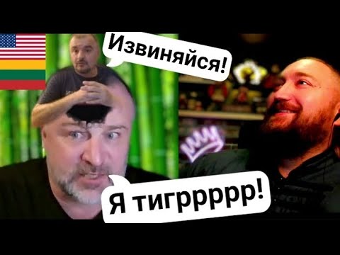 Видео: Атакующий папильон, грозящийся бабуин 🇱🇹🇺🇸