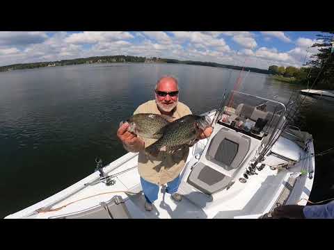 Видео: Как поймать привередливого окуня – советы и рекомендации с маленькой наживкой для краппи. Презент...