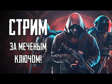 Видео: Стрим Тарков ПВЕ! За меченый ключ и двор!.. Escape from Tarkov PVE