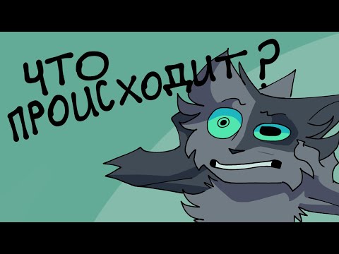 Видео: Что происходит?