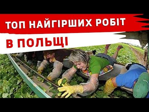 Видео: ТОП НАЙГІРШИХ РОБІТ В ПОЛЬЩІ.