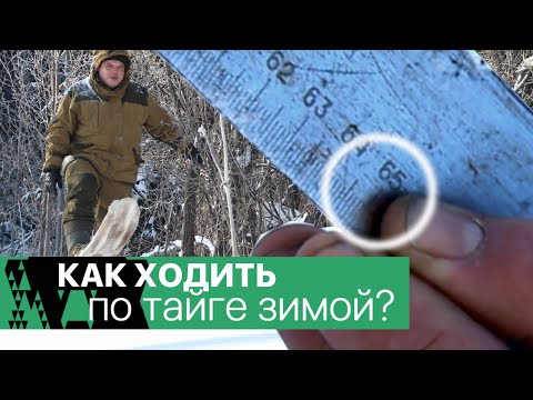 Видео: Как ходить зимой по тайге? Бюджетная доводка охотничьих лыж.