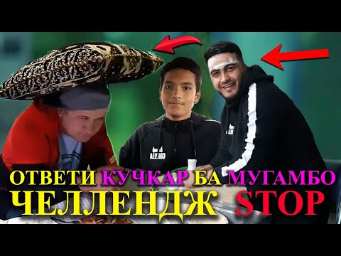 Видео: ЧЕЛЛЕНДЖ=СТОП атвети Кучкар ба Мугамбо жоски