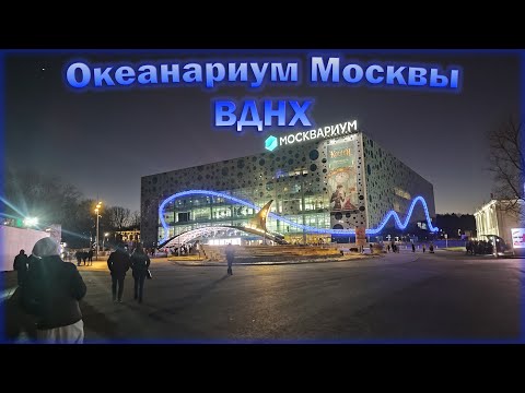 Видео: Москвариум ВДНХ / прогулка по океанариуму Москвы