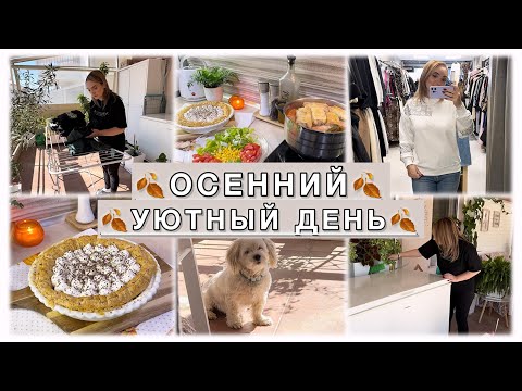 Видео: УЮТНАЯ ОСЕНЬ🍂 УБОРКА 🧺 ГОТОВКА 🧆 ШОППИНГ 🛍️ 