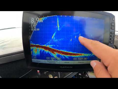 Видео: Что такое Panoptix. Паноптикс ЭТО!