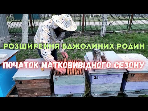 Видео: Розширення бджолиних родин. Початок матковивідного сезону