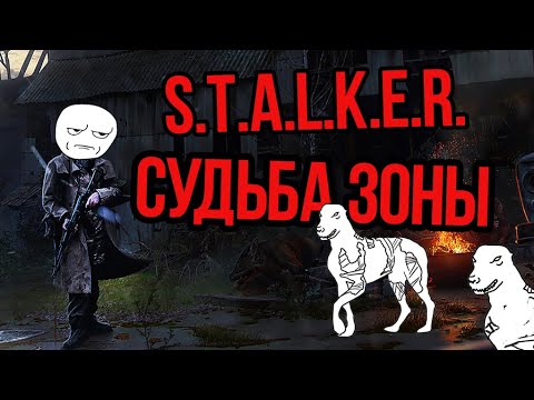 Видео: Сталкер Судьба Зоны