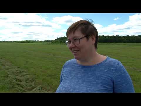 Видео: Дороги деревенские 06.07.22