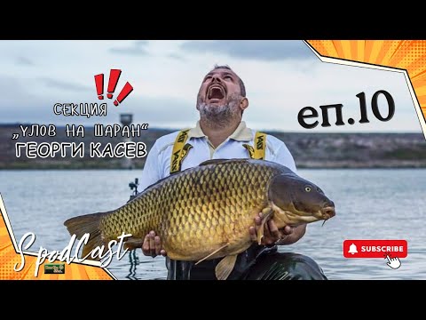 Видео: СподКаст – еп. 10 - Георги Касев | Истината за Секция Шаран 🇧🇬