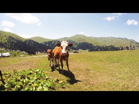Видео: Дышать и пить! Бахмаро и Набеглави Грузия 2021. Нетуристическое место в горах Грузии.