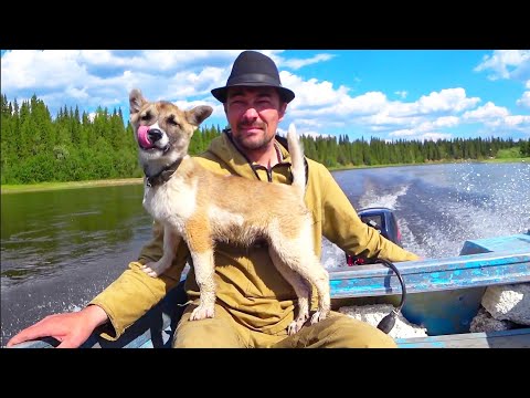 Видео: РЫБАЛКА НА КОРАБЛИК / ЛОВИМ ХАРИУСА ВСЕЙ СЕМЬЁЙ. НАШЛИ ДИКИЙ ЛУК. ОТДЫХ НА ПРИРОДЕ С ПОЛЬЗОЙ.