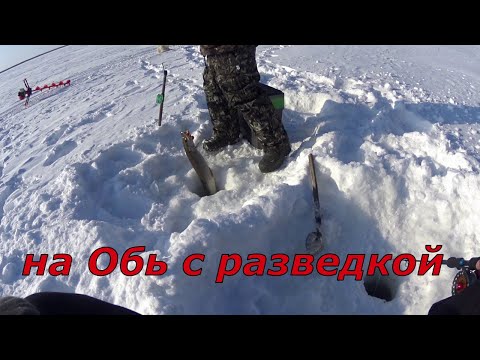 Видео: С дедом на Обь за щукой, разведка.