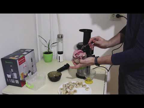 Видео: Килограмм Мороженого из бананов за 3 минуты!! в соковыжималке #Biolomix-BJ200