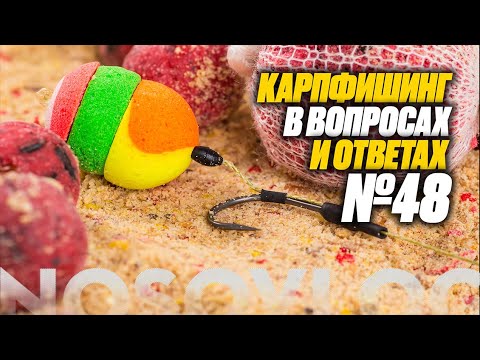 Видео: Карпфишинг в вопросах и ответах #48, Колесников А.