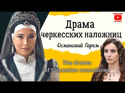 Видео: Самые дорогие наложницы османского гарема// Почему все были без ума от черкесских наложниц