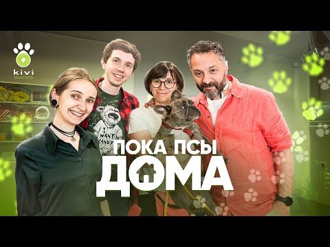 Видео: Илья Колмановский, Саша Примакова и Хлоя: как перестать бояться и полюбить бульдога | Пока псы дома