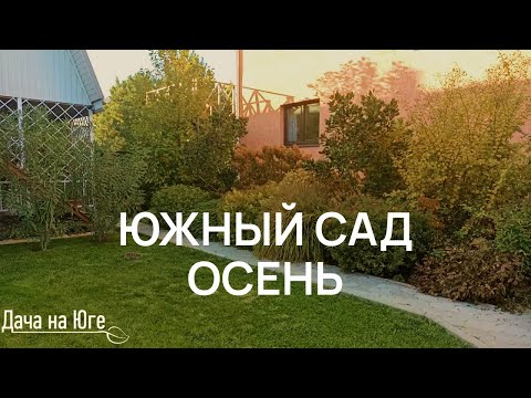 Видео: Дача на Юге - Прогулка по осеннему саду