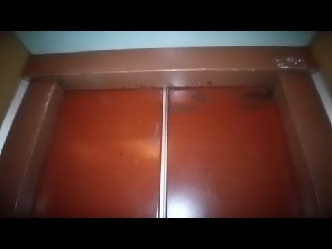 Видео: Латынь! Лифт МЛЗ-1993г.в. В г.Гомель! 