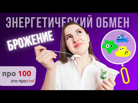 Видео: Энергетический обмен - Брожение | ЕГЭ Биология 2021