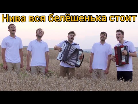 Видео: Нива вся белёшенька стоит