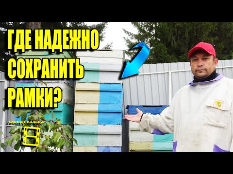 Видео: ХРАНЕНИЕ ПЧЕЛИНЫХ РАМОК С СУШЬЮ, РАМОК С МЕДОМ И РАМОК С ПЕРГОЙ ДЛЯ НАЧИНАЮЩИХ ПЧЕЛОВОДОВ 27-21