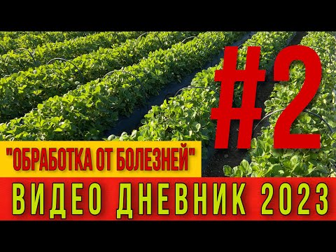Видео: ОБРАБОТКА ОТ БОЛЕЗНЕЙ .Видео дневник 2023 Часть #2