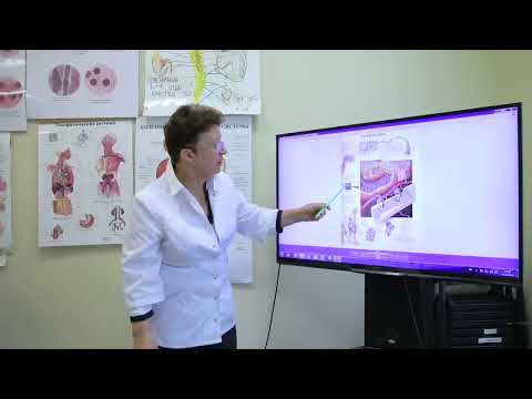 Видео: Остеохондроз. Причины возникновения и методы самопомощи. [Шишова О.И.]