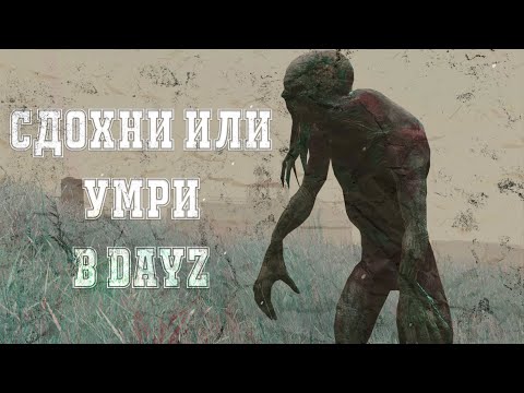 Видео: Я вернулся в DayZ - Zeus Project