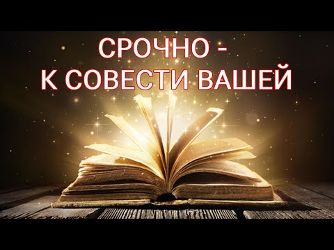 Видео: срочно к совести вашей