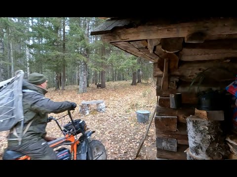 Видео: Живу в избе, заготавливаю рябчика (часть 3 финальная)