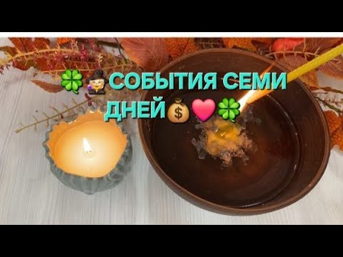 Видео: 🥰🌸 ЧТО ВАС ПОРАДУЕТ В БЛИЖАЙШИЕ СЕМЬ ДНЕЙ ☘️✨