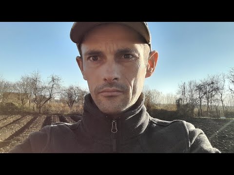 Видео: Маточник полуниці 🍓🍓🍓 на 2026 рік які сорта будуть#полуниця