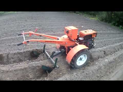 Видео: Мотоблок Кентавр 1081Д сам окучивает картофель!!!