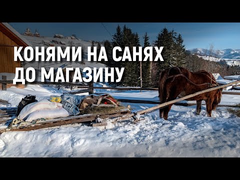 Видео: Гірські села Буковини замітає снігом: як там живуть