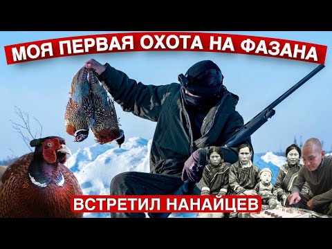 Видео: Зимняя охота на Фазана