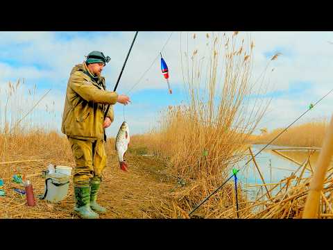 Видео: ОТ ТАКИХ ПОКЛЕВОК ЗАМИРАЕТ СЕРДЦЕ! ПОПЛАВОК КРУПНЫМ ПЛАНОМ! РЫБАЛКА НА ПОПЛАВОК!