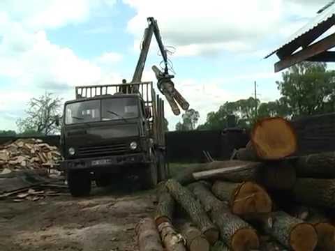 Видео: Чи крадуть на Бродівщині ліс? (ТРК "Броди")