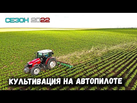 Видео: Междурядная культивация по навигации Massey Ferguson 6713