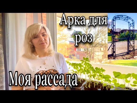 Видео: Nr.10 Нужна ваша помощь / Арка для Роз / Посадка Деревьев /Дача в Германии / Рассада