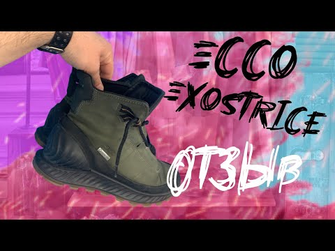 Видео: ЭККО EXOSTRIKE \ Отзыв после сезона ЛЮТОЙ носки