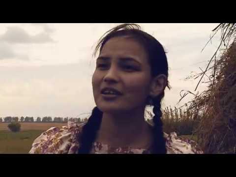Видео: Ике йөрәк ике аҡҡош телефильмы