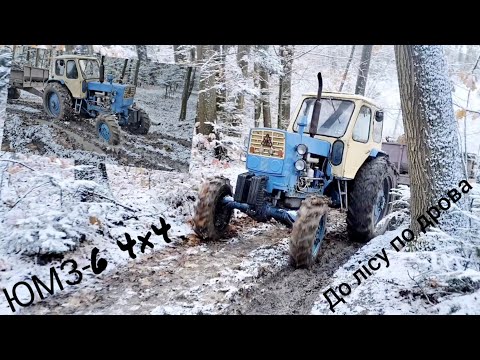 Видео: ЮМЗ-6 4×4 Заготовляємо дрова на зиму🚜