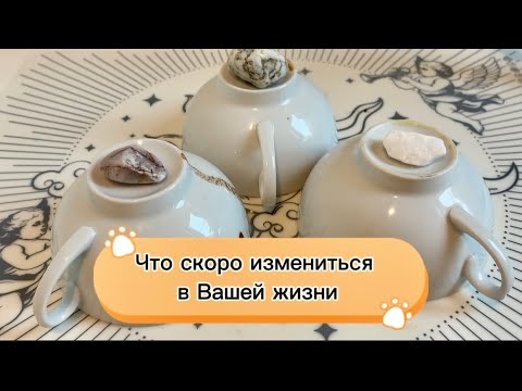 Видео: ☕Выберите кружку. 🤎Что скоро измениться в вашей жизни?