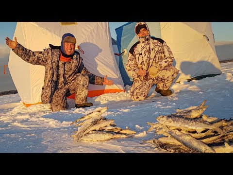 Видео: НОЧНАЯ РЫБАЛКА НА ТУРГОЯКЕ. РЕЦЕПТ МАРИНОВАННОГО РИПУСА.